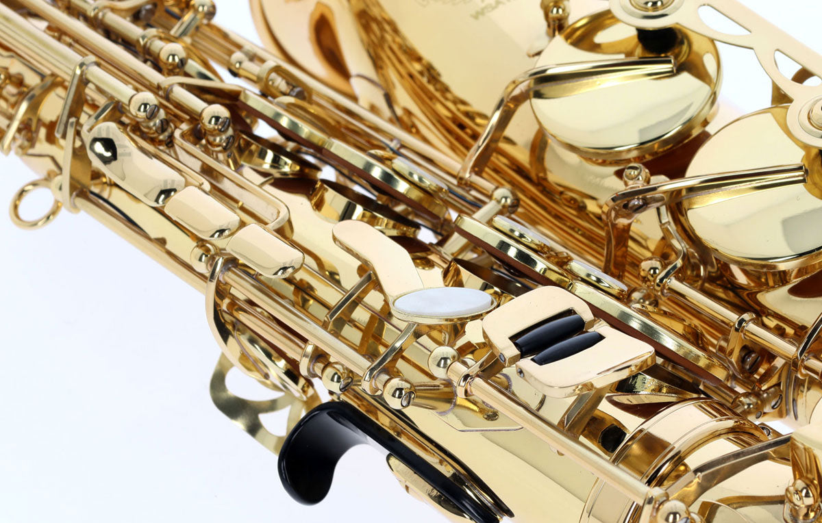 WSA100 - Contralto Mib verniciato