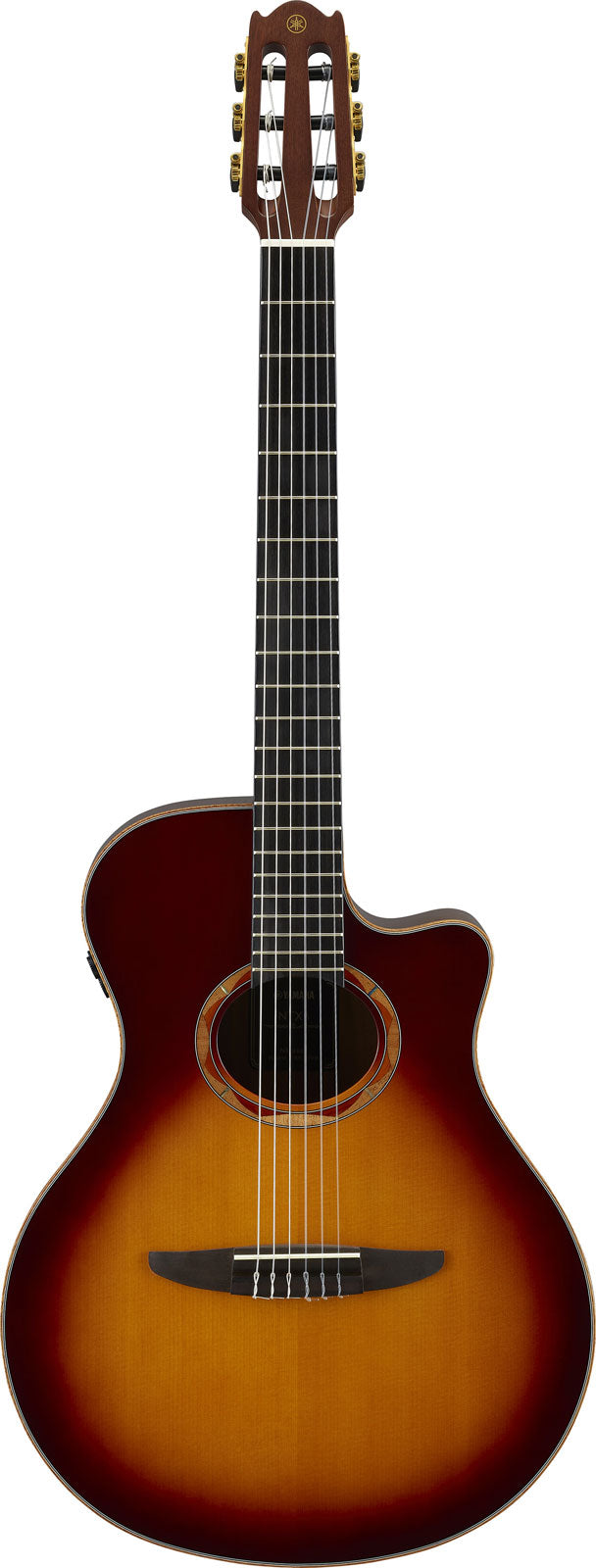 Ntx3 Sunburst marrone