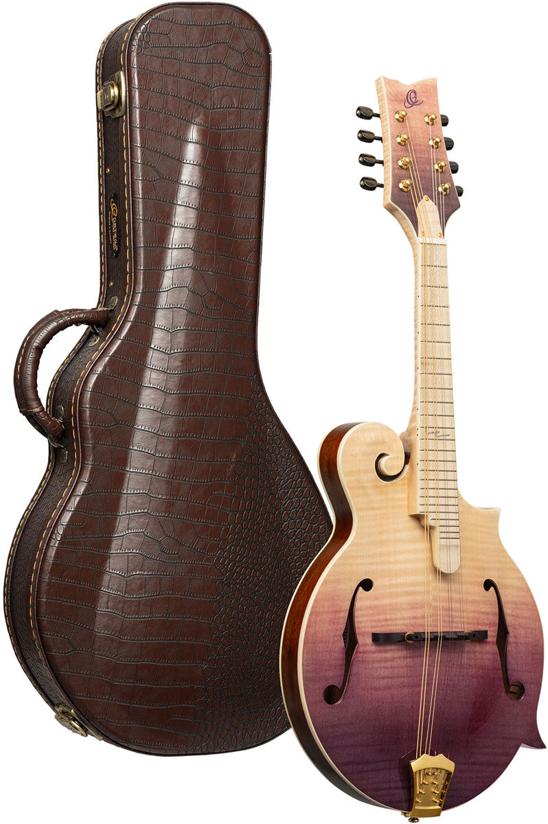 Americana Mandolino F-Style + Custodia in pelle Croco