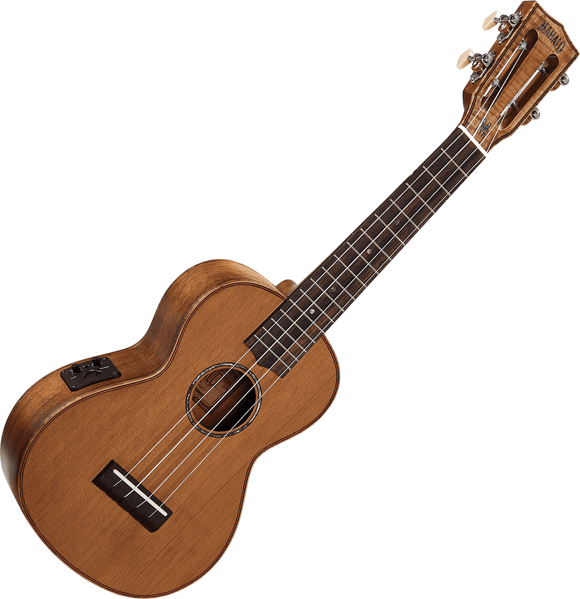 Concert Naturale Elettrico + Custodia