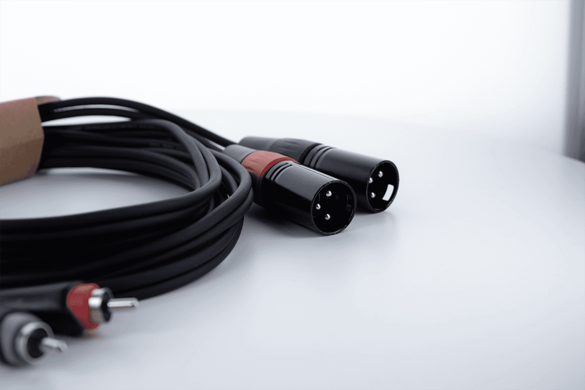 Cavo Audio Doppio XLR Maschio / RCA 1 M