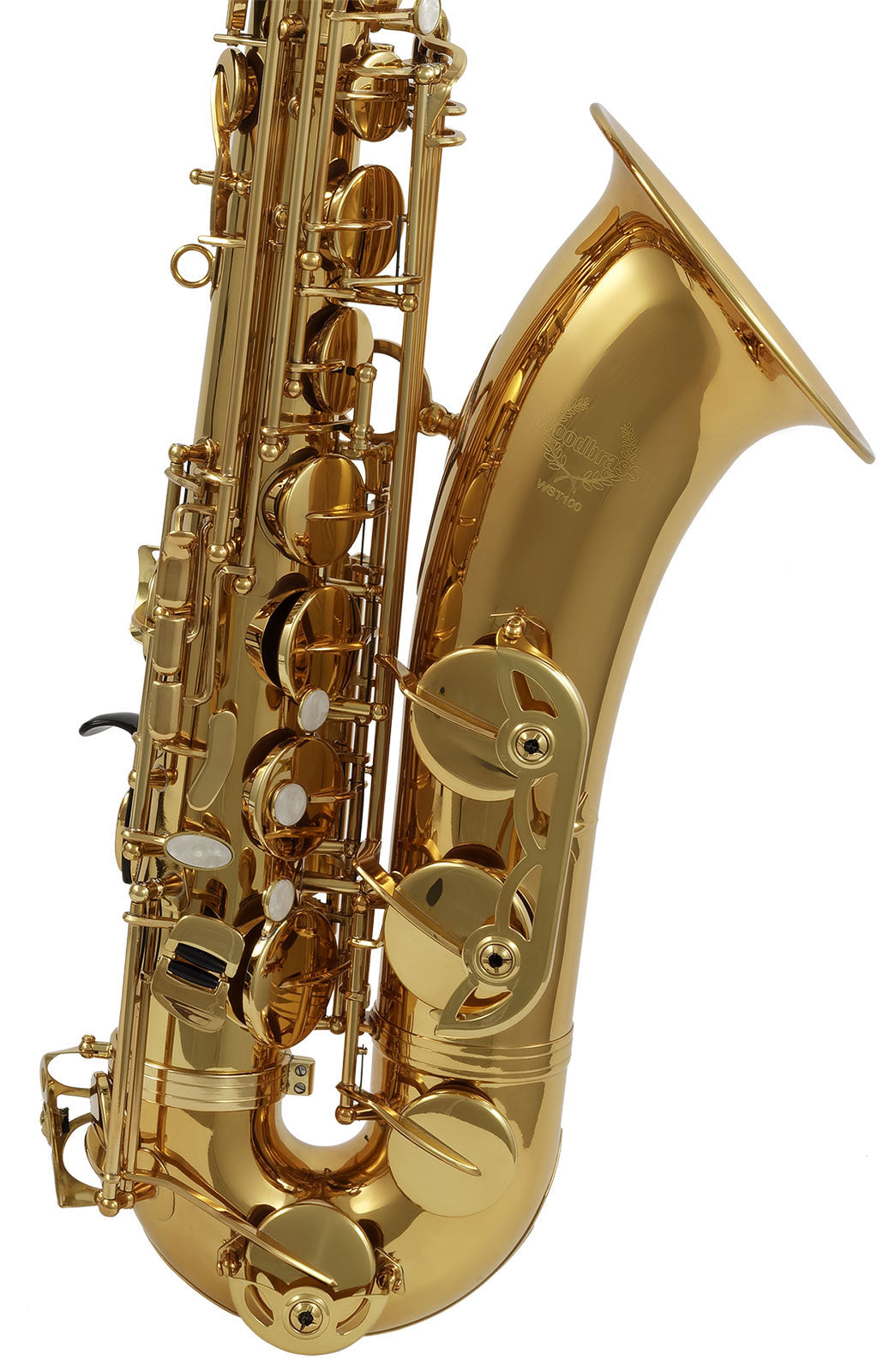 WST100 - Tenore Sib Verniciato