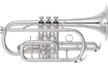YCR6335SII Sib Argentato