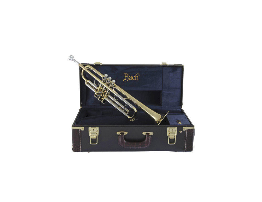 190S43 - Bb STRADIVARIUS LACCATA