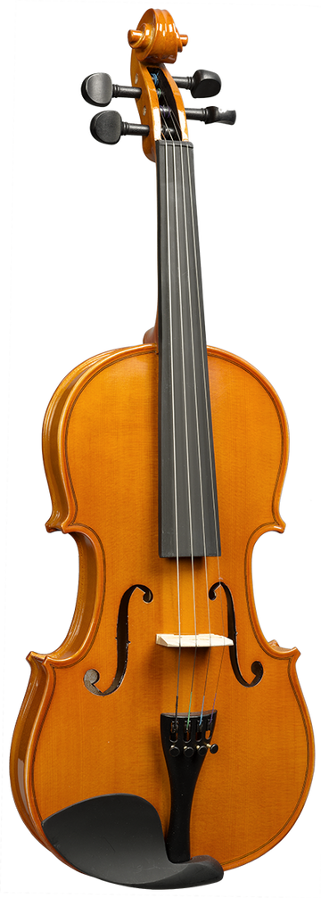 1/16 VIOLON TOUT MASSIF AS1116