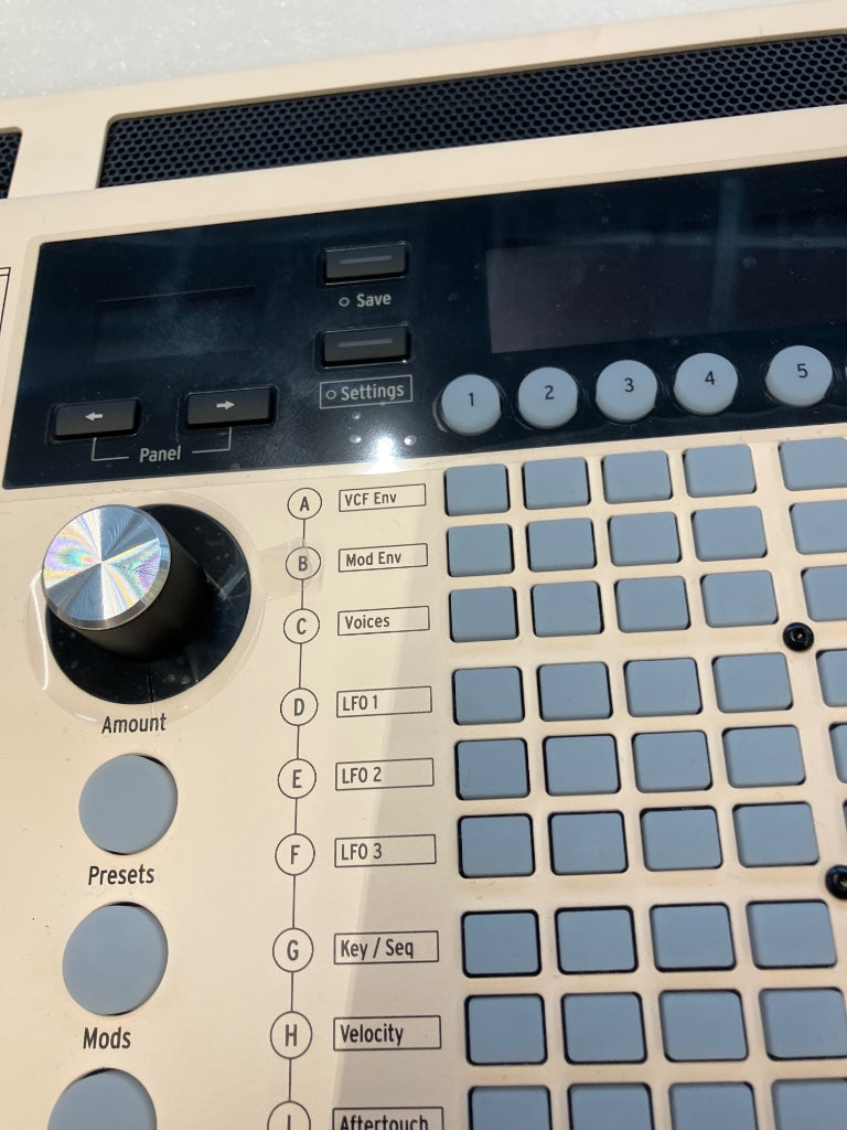 POLYBRUTE 12 - B Stock