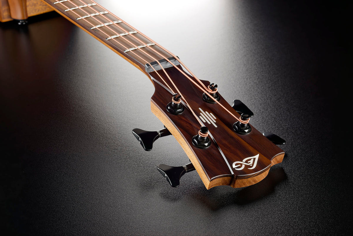 HyVibe 2 Serie 10 Basso Acustico CW