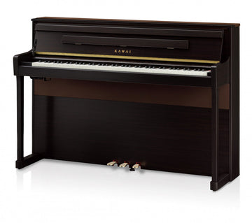 CA901 Palissandro