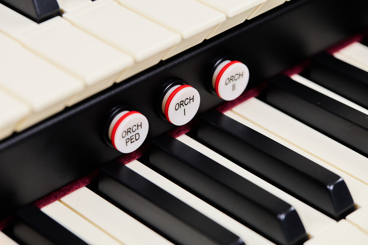 Cantorum Duo plus