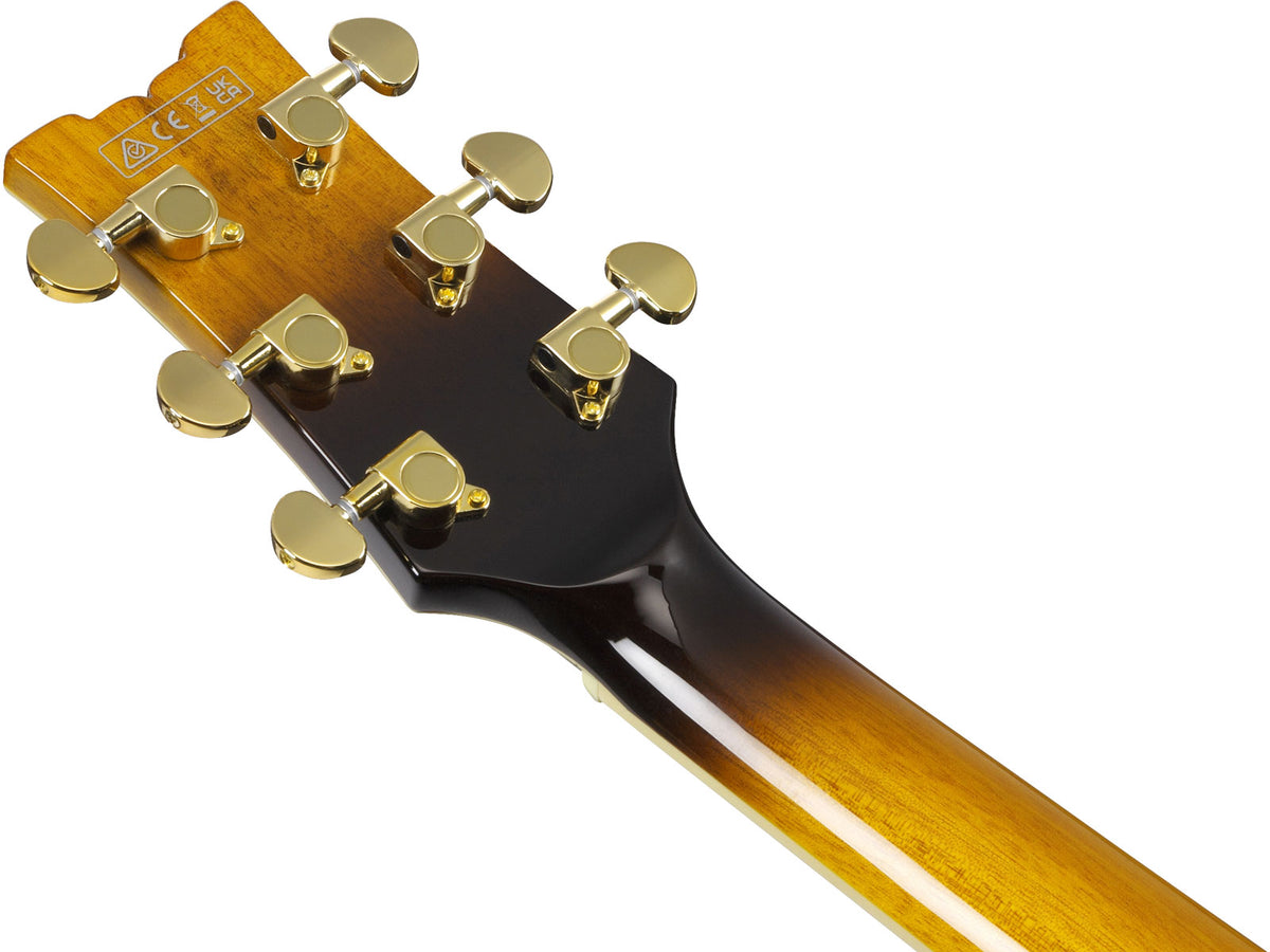 JSM10em Firma di John Scofield Burst bicolore