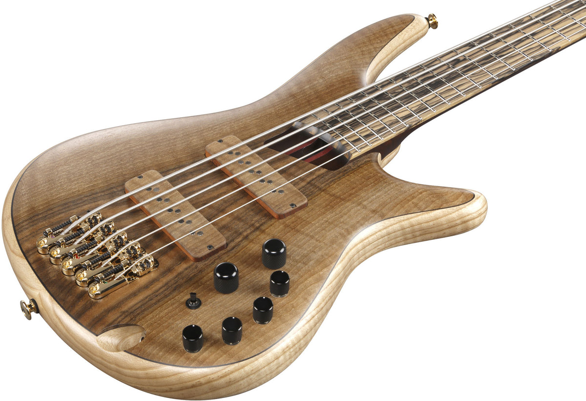 IV1SR Ibanez VISIONS