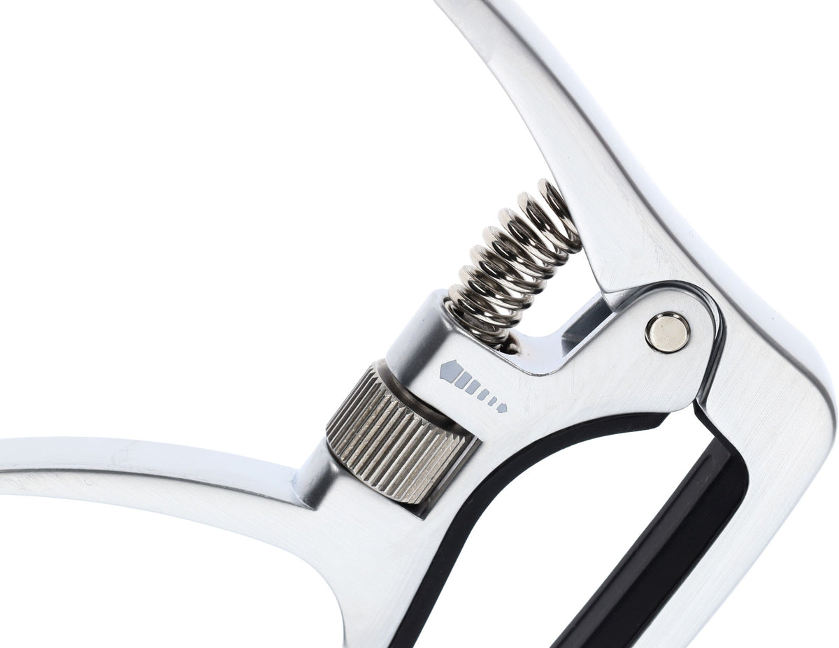 CP30EA Per Chitarra Elettrica e Folk