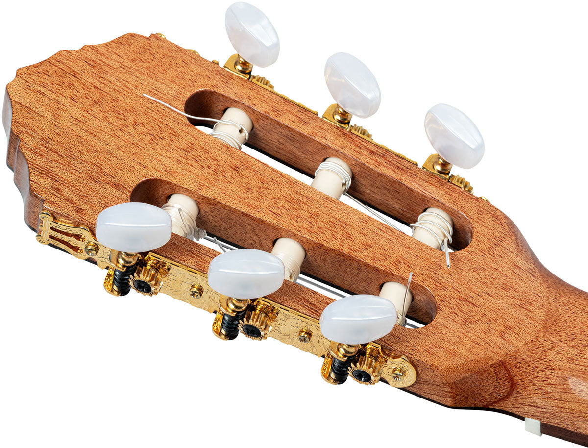 Traditional 4/4 + custodia morbida Pro