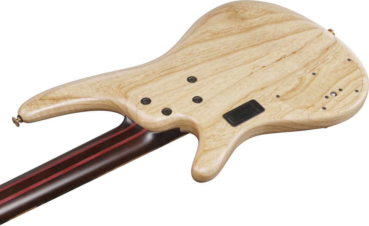 IV1SR Ibanez VISIONS