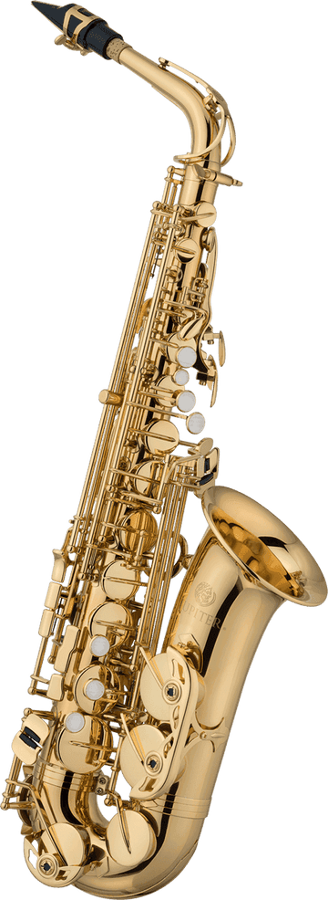 JAS700Q - CONTRALTO LACCATO - PRINCIPIANTE