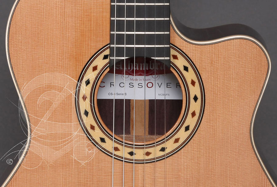Concert CS-3 CW E8 Crossover + 9738 25MM Custodia - Ricondizionato