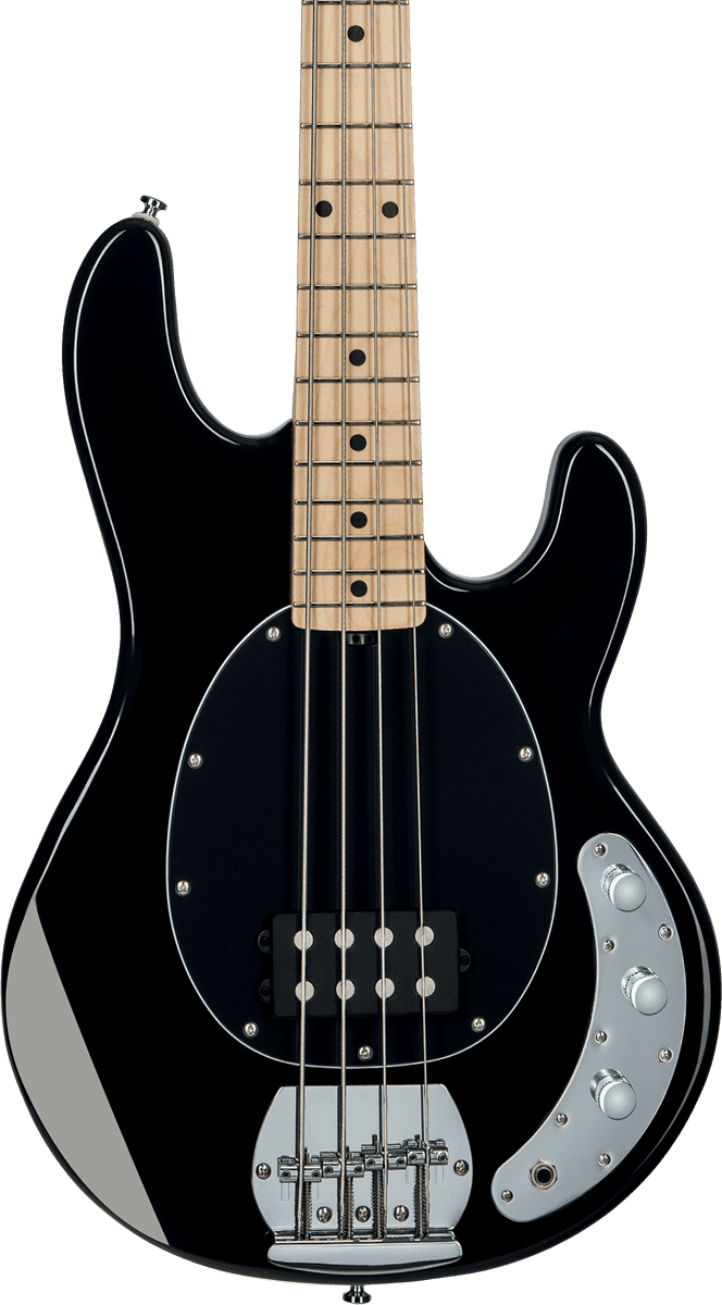 Stingray In Black