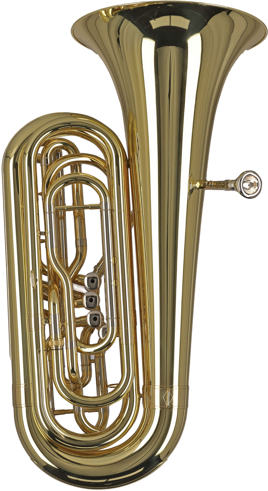 Ambition BB501B Contrabbasso Sib Verniciato