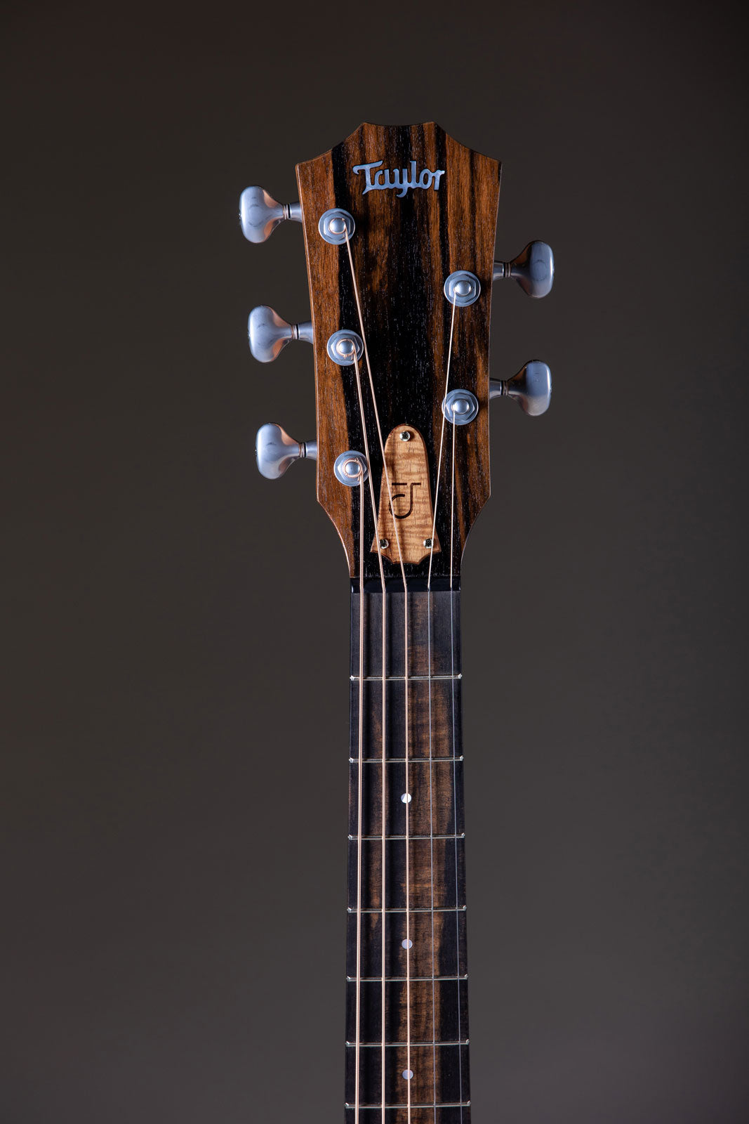 Jacob Collier Signature Model JCSM a 5 corde Natural Grand Concert