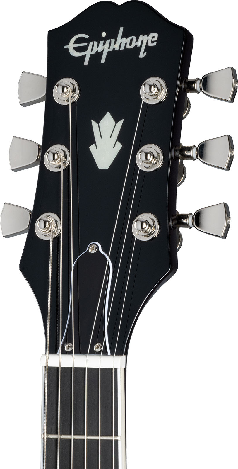 SG Modern Purple Burst fiammato IBGCS