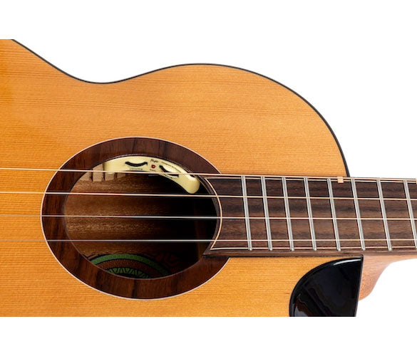 Lily Baritono a corde d'acciaio EQ-A