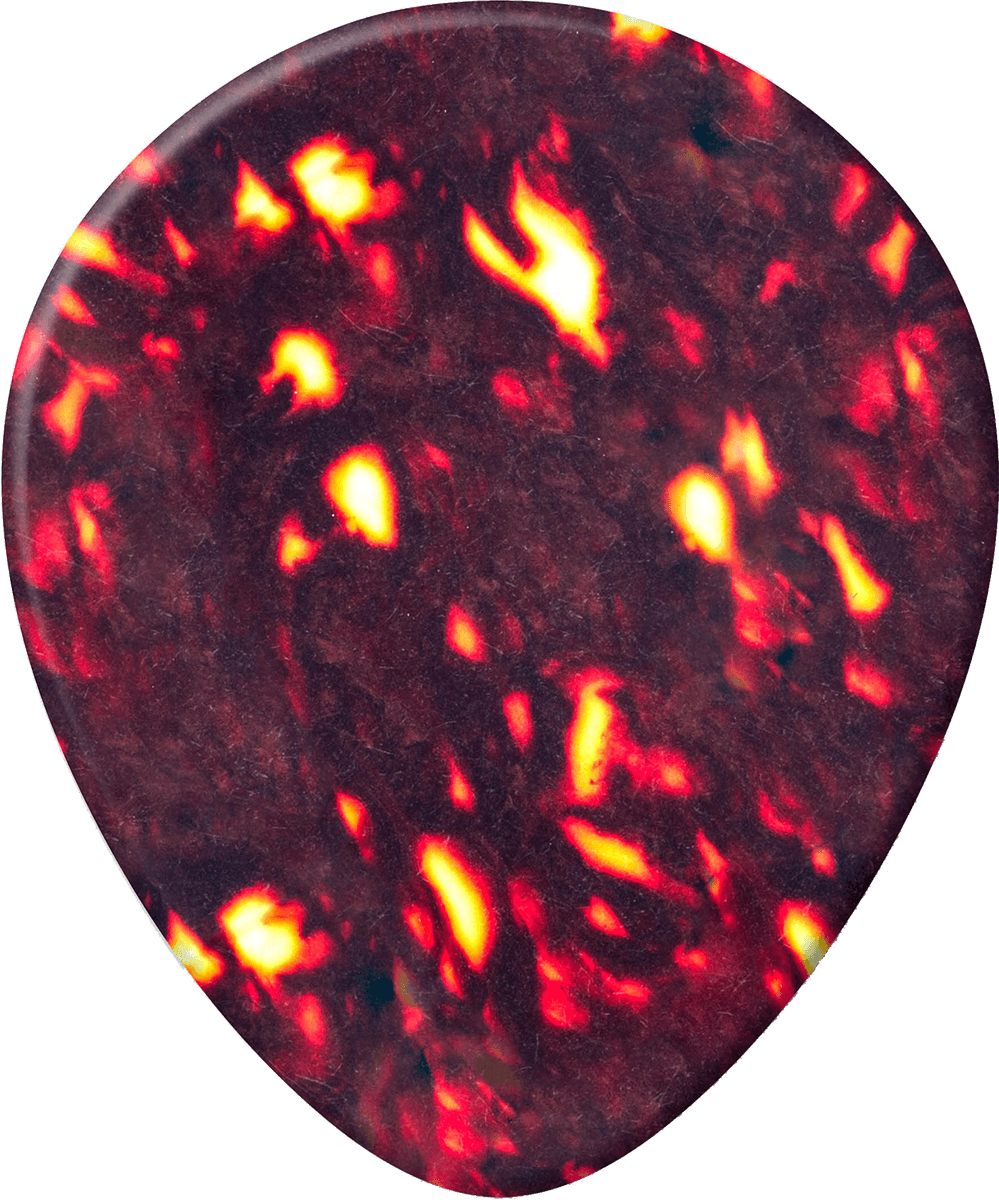 12 x Conchiglia Teardrop Sottile