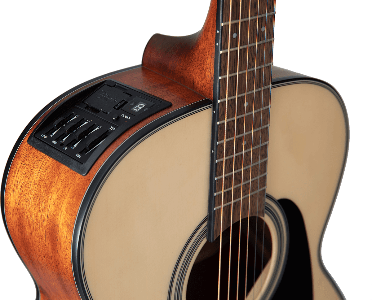 Gln12Ens 12 Nex Spruce-Mahogany