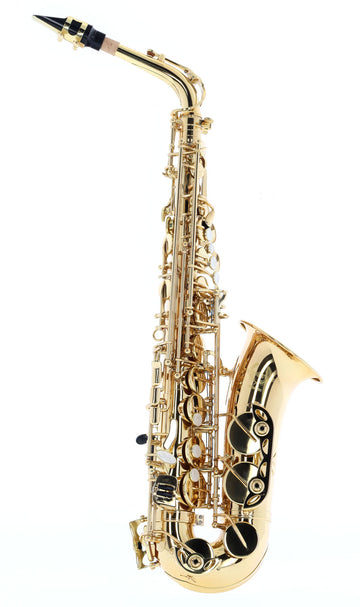 WSA100 - Contralto Mib verniciato