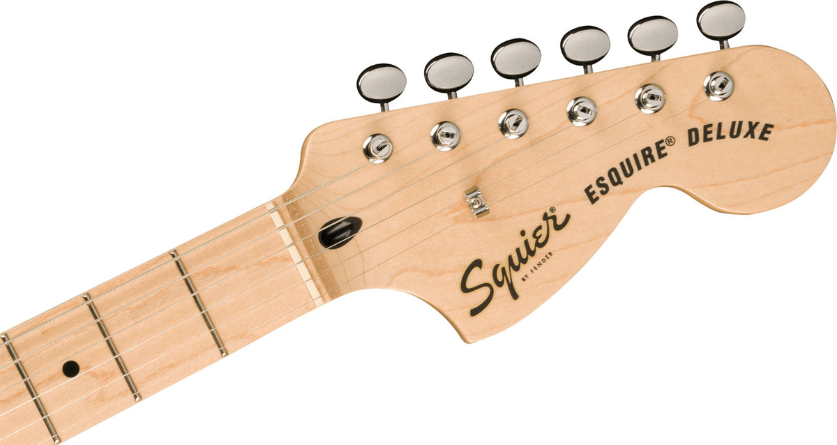 Esquire Dlx Paranormal Mn Nero metallizzato