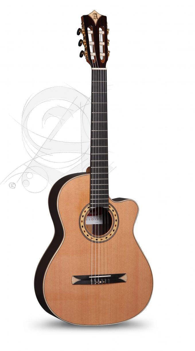 Concert CS-3 CW E8 Crossover + 9738 25MM Custodia - Ricondizionato