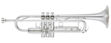 YTR6335RCS Sib Argentata