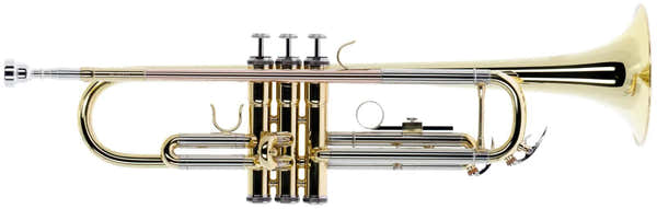 WTP200 - Sib verniciato