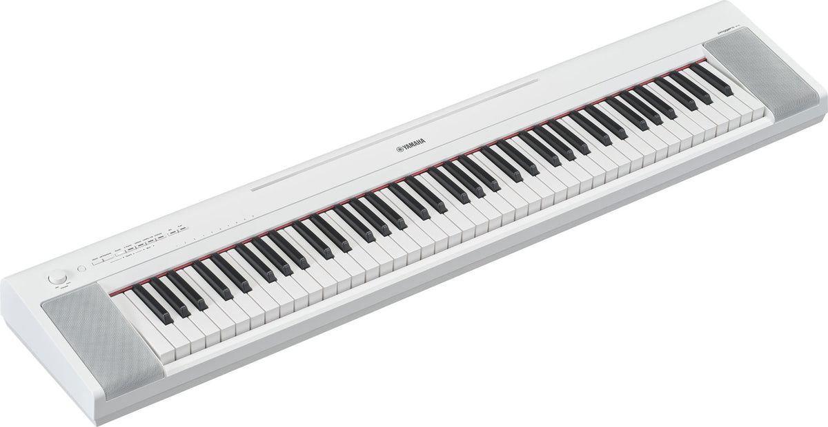 NP-35 Bianco