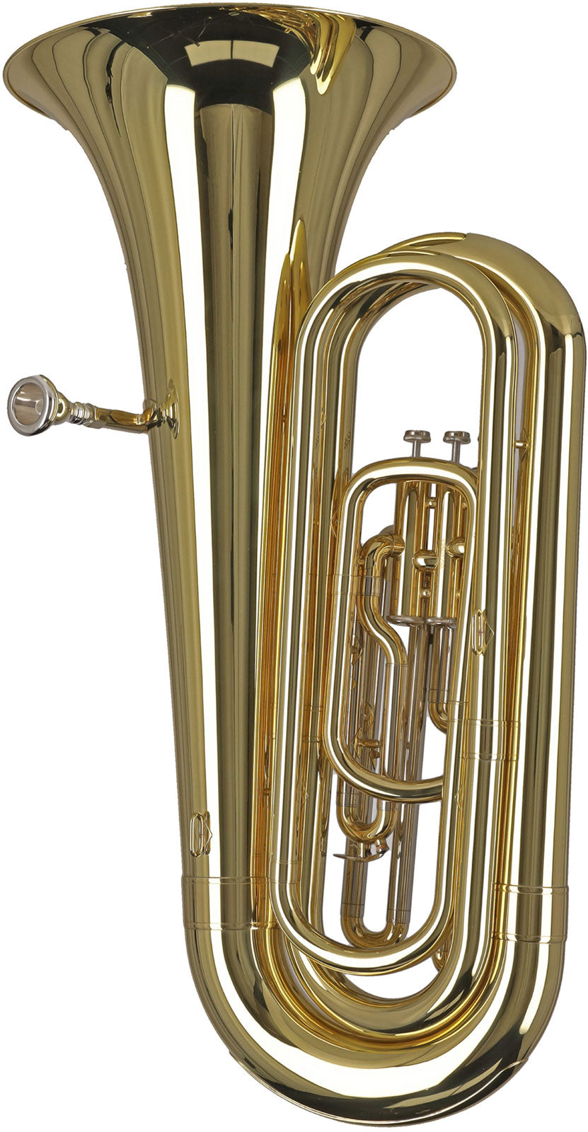 Ambition BB650 Contrabbasso Sib Verniciato