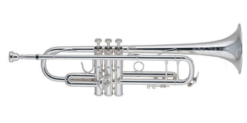 190S43 Stradivarius - Sib Argentata
