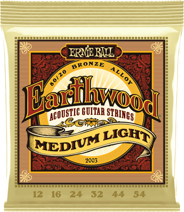 2003 ACOUSTIC EARTHWOOD BRONZE 12 54