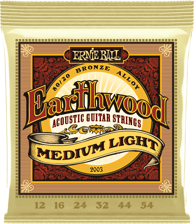 2003 ACOUSTIC EARTHWOOD BRONZE 12 54