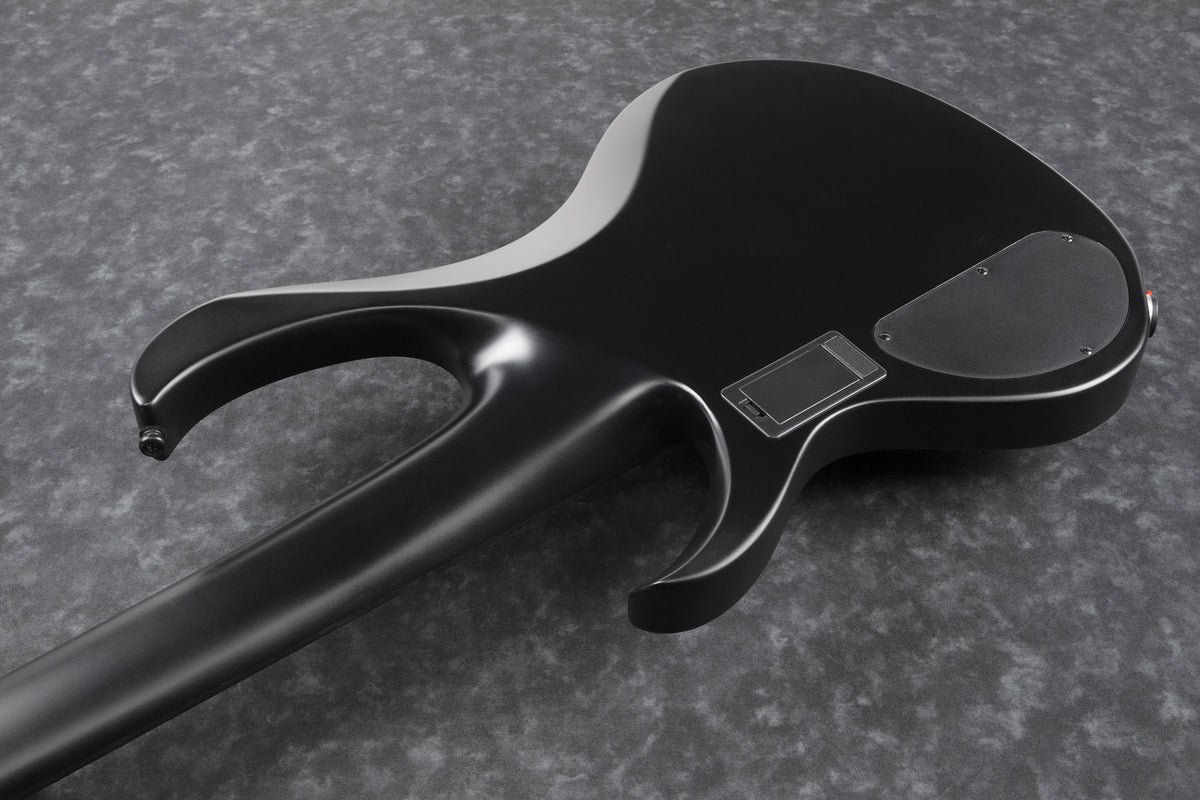 Btb625Ex-Bkf Nero Flat Iron Label