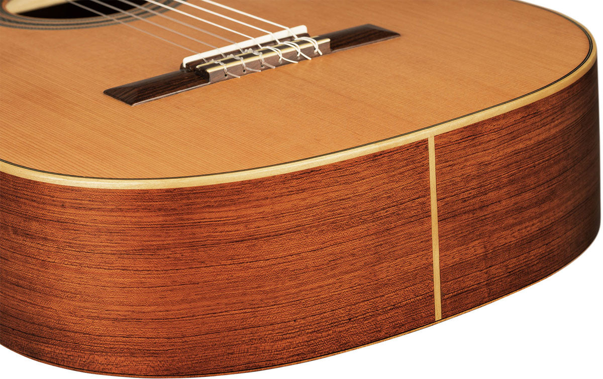 Traditional 4/4 6 LH + custodia morbida Pro
