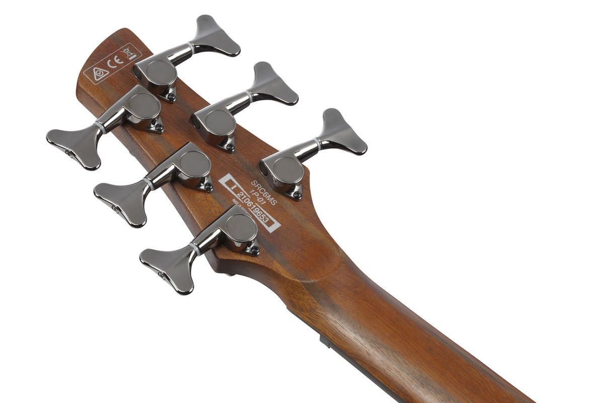 SRC6MS-BLL Burst nero tinto Bass Workshop