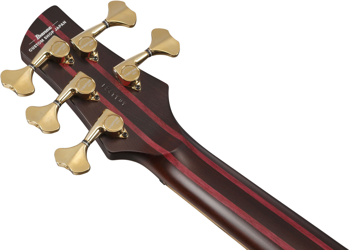 IV1SR Ibanez VISIONS