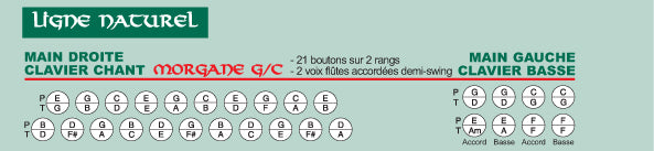 MORGANE II FISARMONICA DIATONICA TASTI IN SOL/DO - LINEA IN LEGNO NATURALE FORNITO CON VALIGE