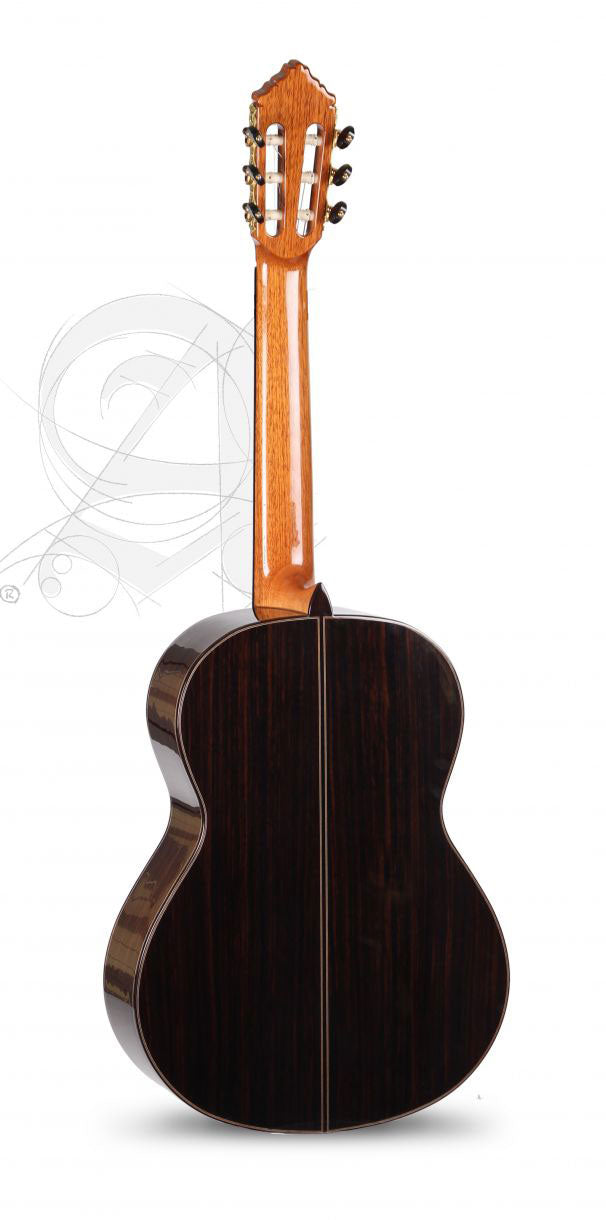 Concert 10 Premier + 9557 Case