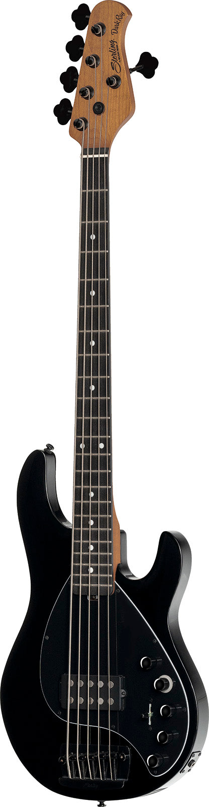 Darkray 5 Stingray Darkglass