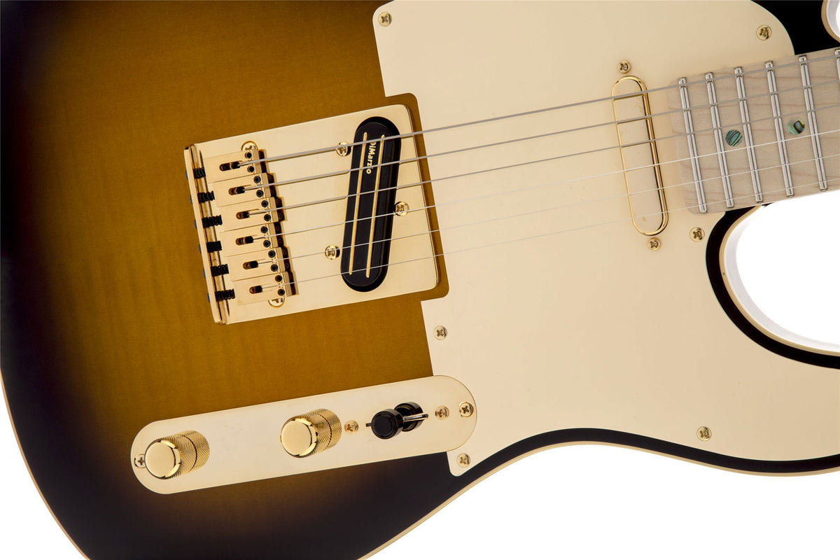 Telecaster Signature Richie Kotzen MN Brown Sunburst