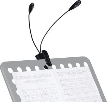 2 LAMPS ON FLEXIBLE HOSES TO CLIP ON (4 LEDS)