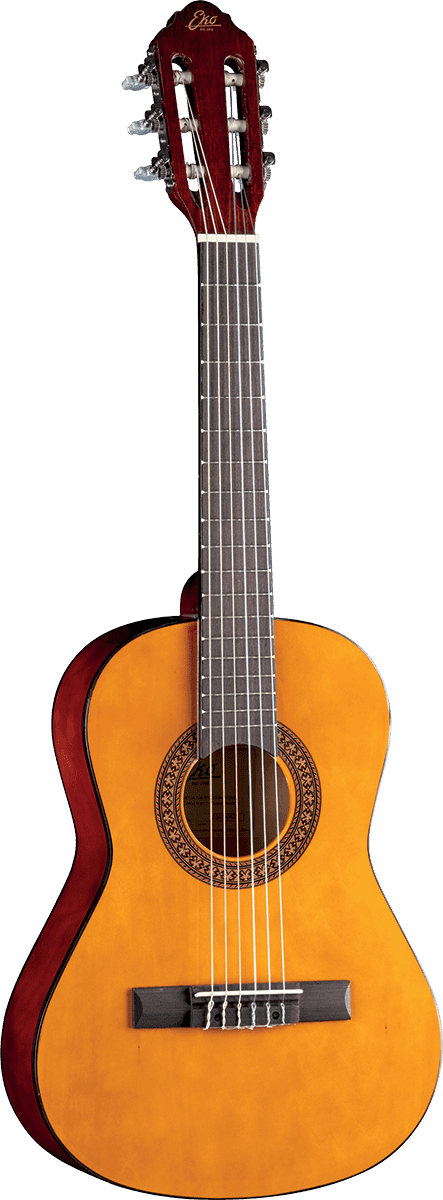Cs-2 1/2 Natural + Gigbag