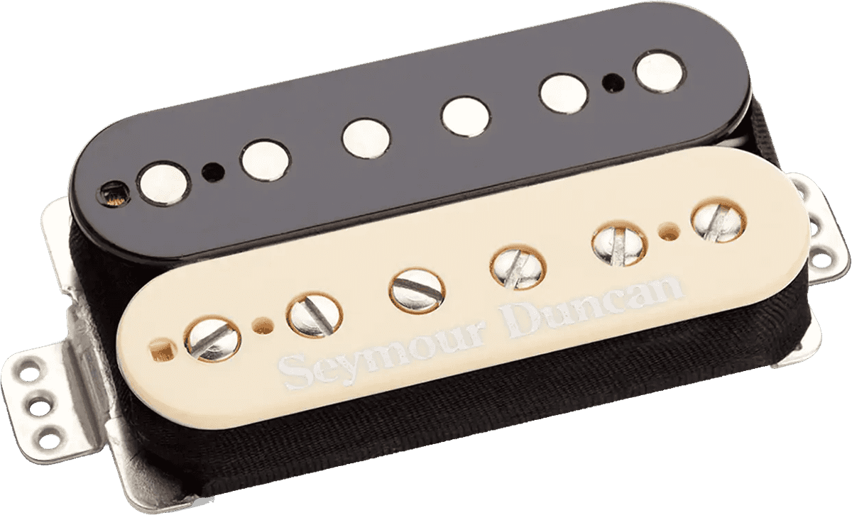 Trembucker Custom 5 Ponte Zebra