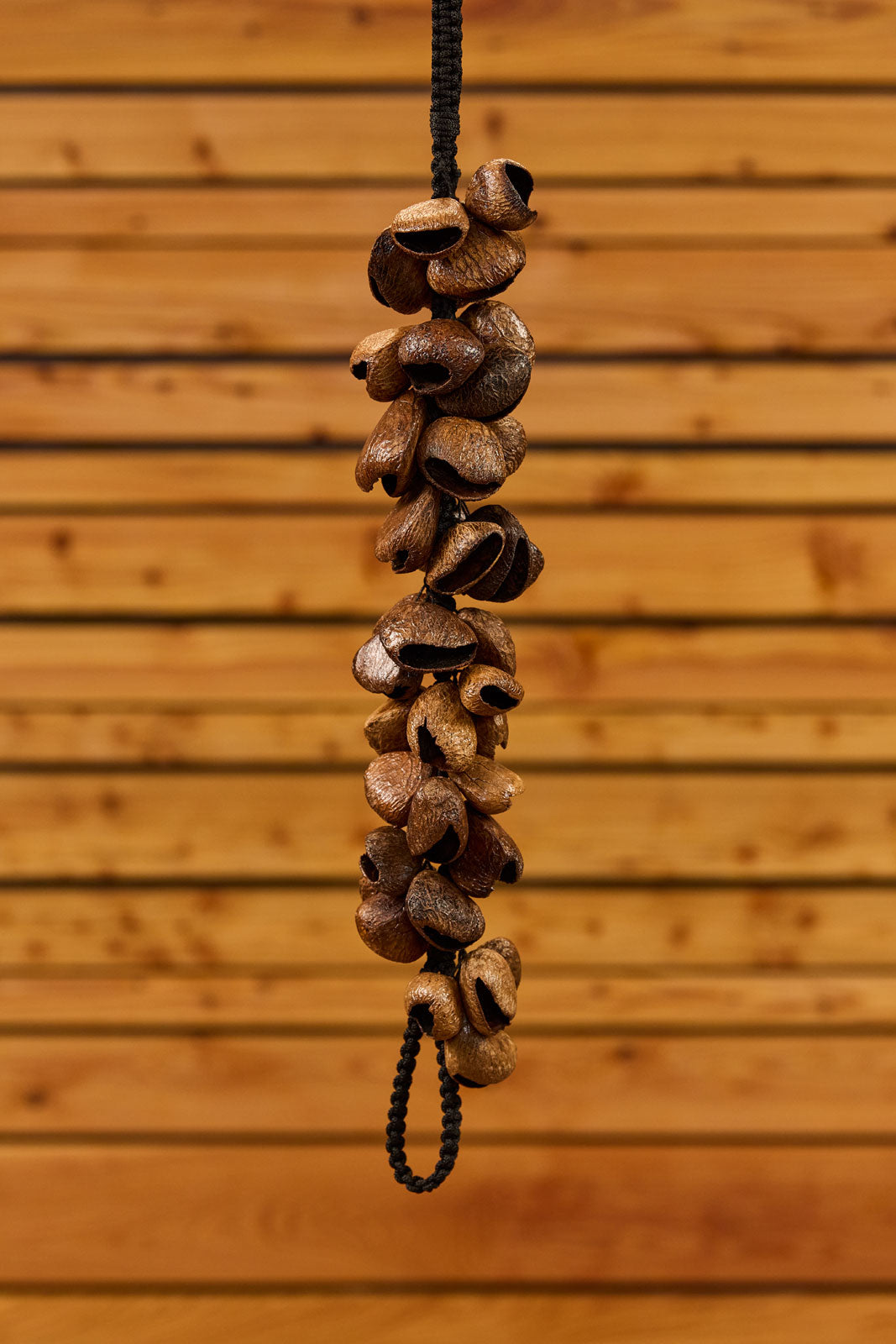 WA5 - Pangi Waterfall Shaker 40 Seeds