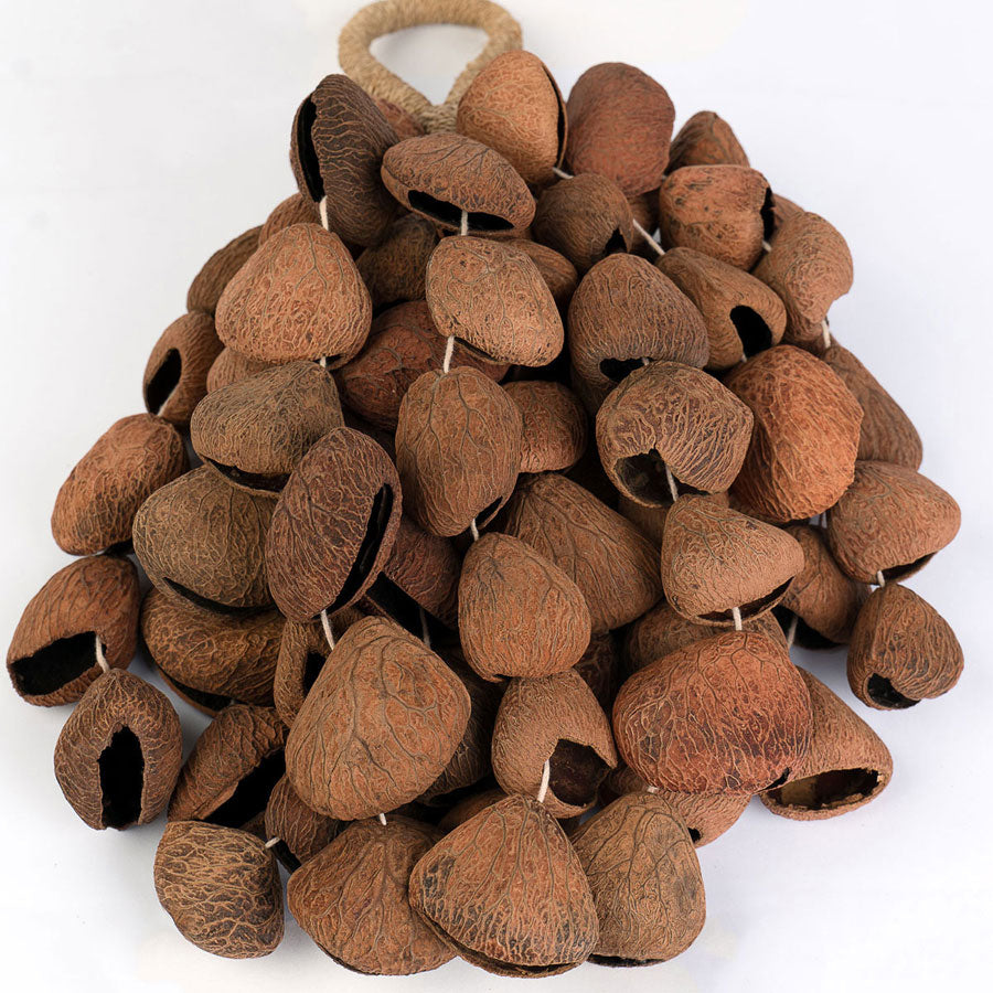 SESDS7 Seed Shaker 6 File Pangi